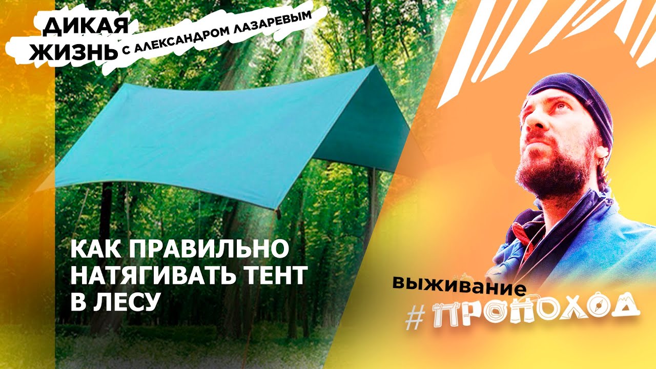 Установка тентов/Дикая жизнь/Выпуск 44