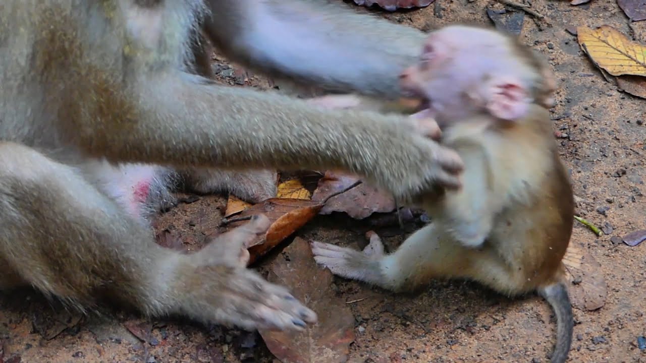 It's so pity ....Why mom Libby push her Lily from her chest make she cried? |