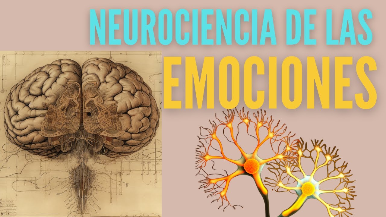 El Sistema límbico y las emociones