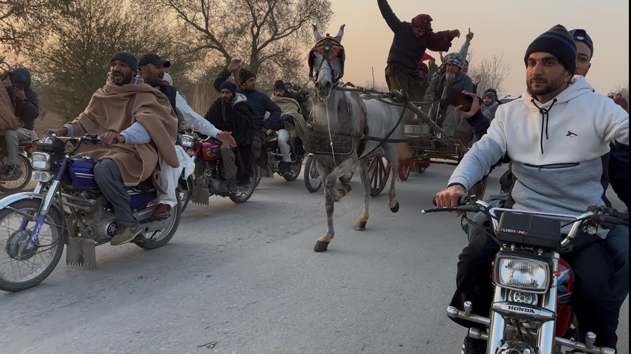 Behari Ghori Vs Husne Chach 14 killometer Race#horserace