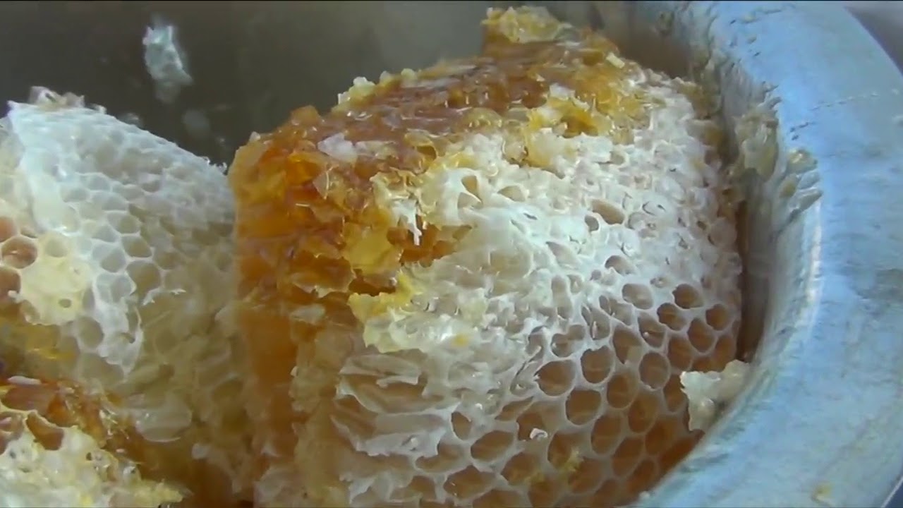 The Honey Story (Jaintia) | Wahumlawbah, Meghalaya | MBDA
