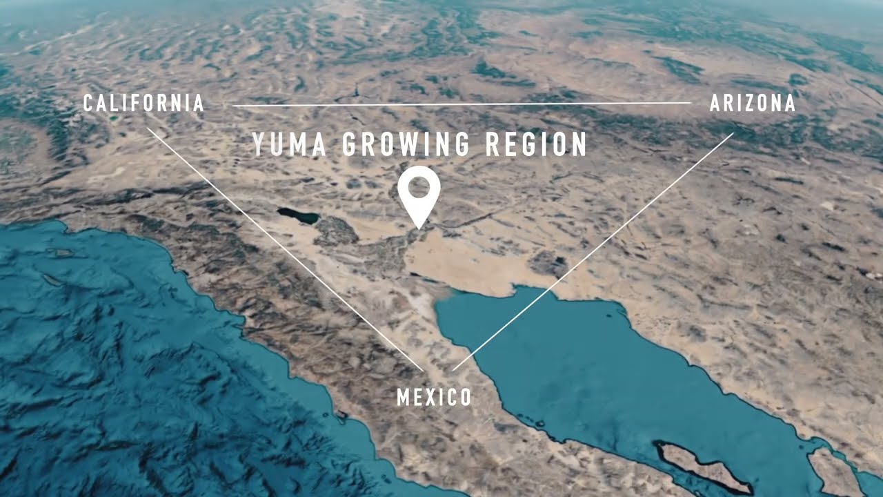Yuma Growing Region Video