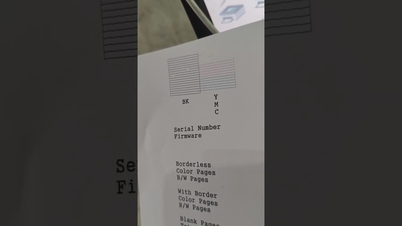 pemasangan pembelian print head epson seri L