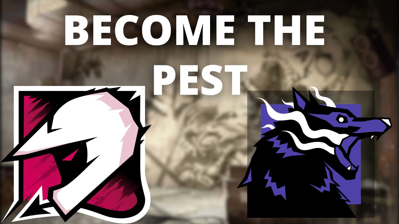 Some Siege Stream Clips from the Peak of Operation Dread Factor