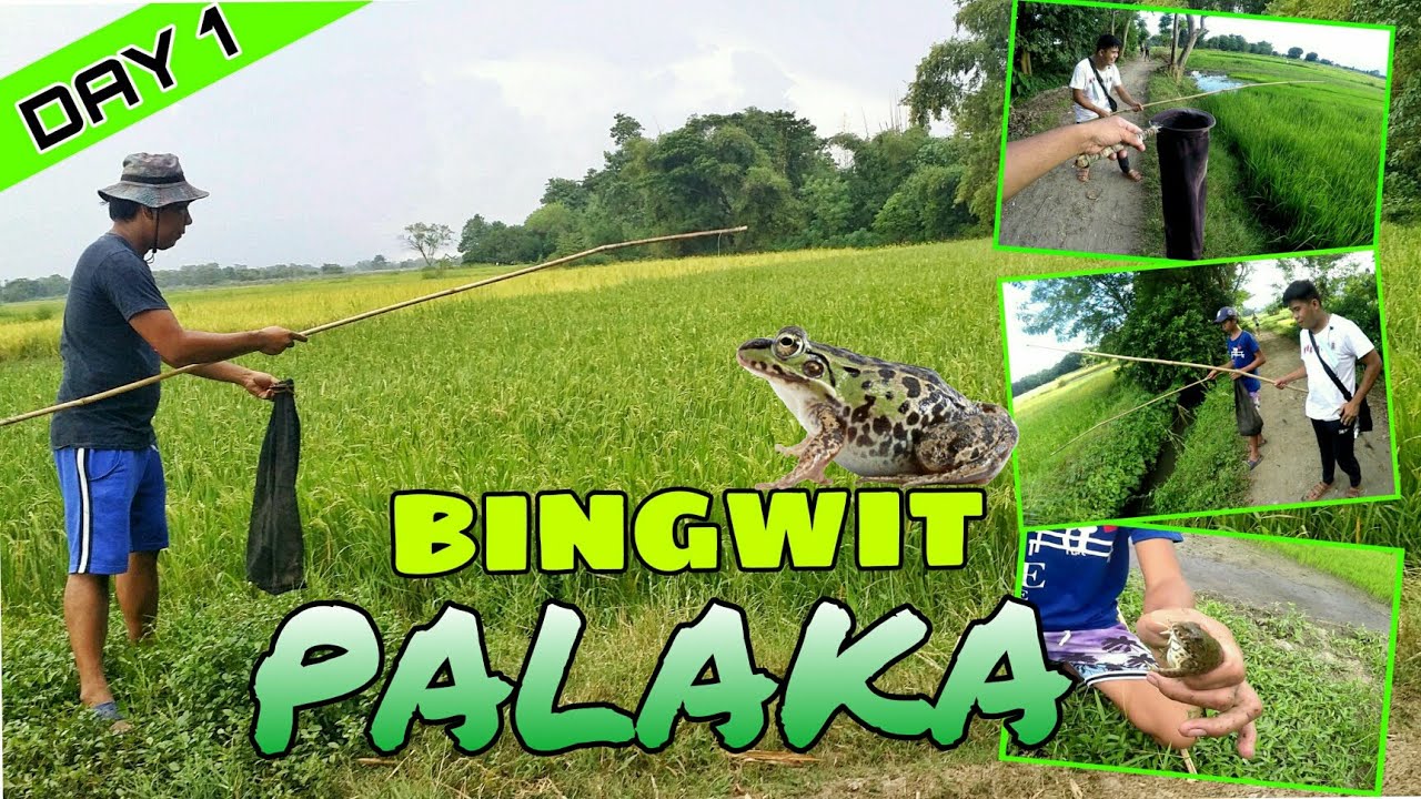 BINGWIT PALAKA DAY 1 PART 1 | Life in the Province🐸