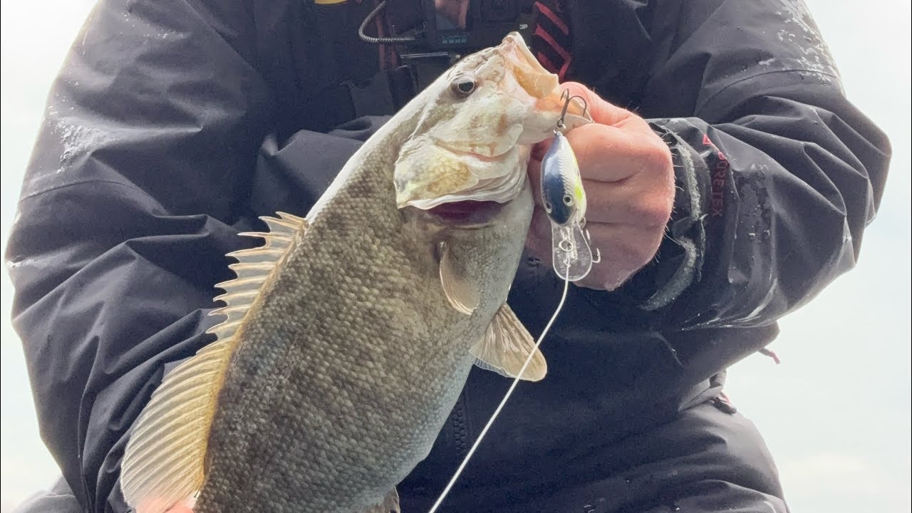 I finally caught a bass at Cumberland 😂 - lake temperature update . #march  3rd 2026