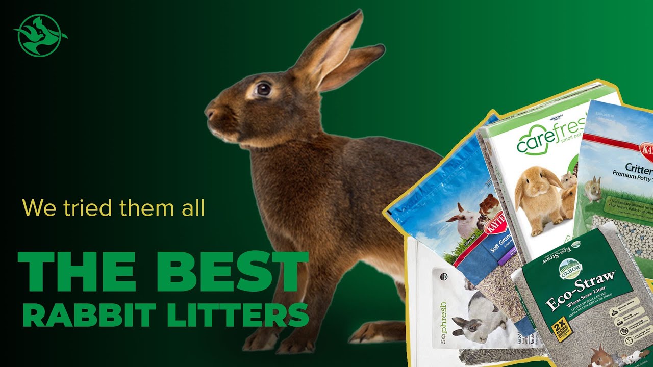 Top 6 Best Rabbit Litters (We Tested Them All)