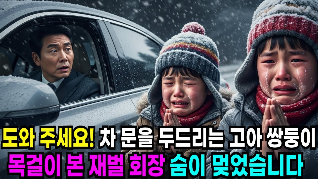 차문을 두드리는 고아 쌍둥이 목걸이를 본 재벌 회장 숨이 멎었습니다#반전사연 #노후사연 #인생사연 #사연살롱#사연튜브#사연채널#오디오북