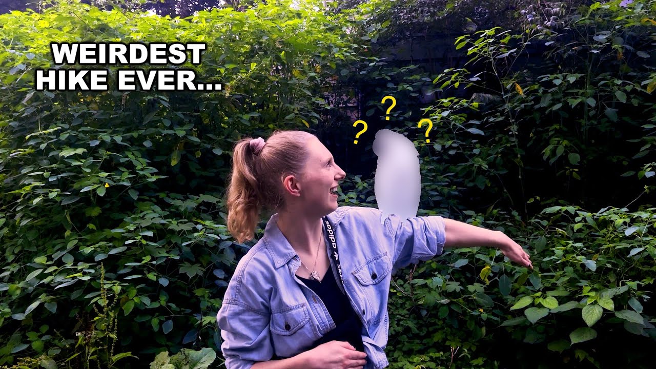 You Won't Believe What Happened On Our Hike