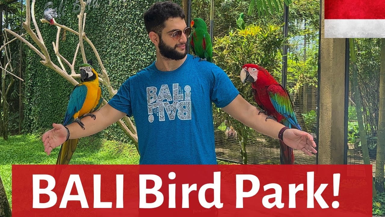 Парк птиц на Бали 🦜 🇮🇩 — Птицы свободны❗️ — Видеоблог Бали 2022