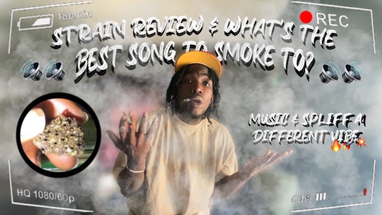 Black Mamba Strain Review🌬️💨+ What&rsquo;s the best music to Smoke To?🎶🔥