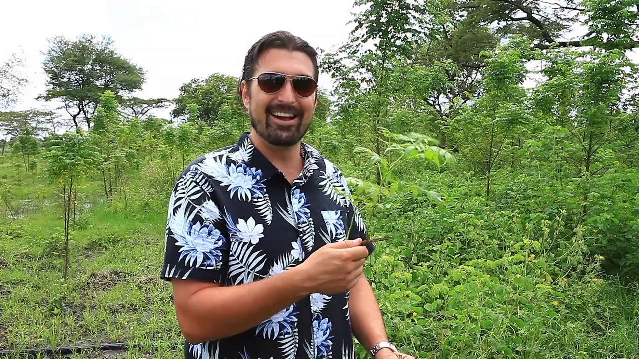 VENTREE: LIRA PLANTATION-Update_Nov-2019