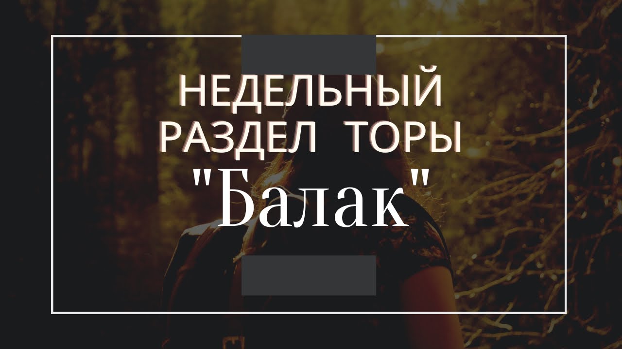 Недельный раздел Торы 