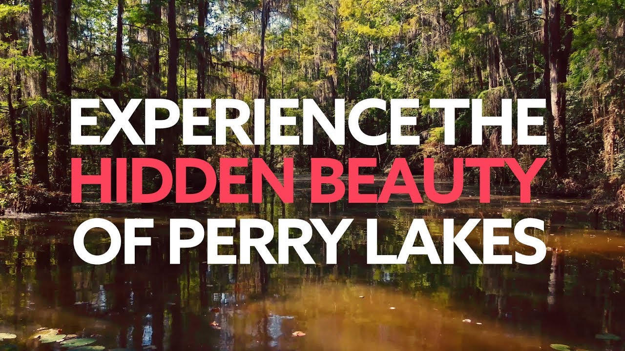 Discover Perry Lakes Park