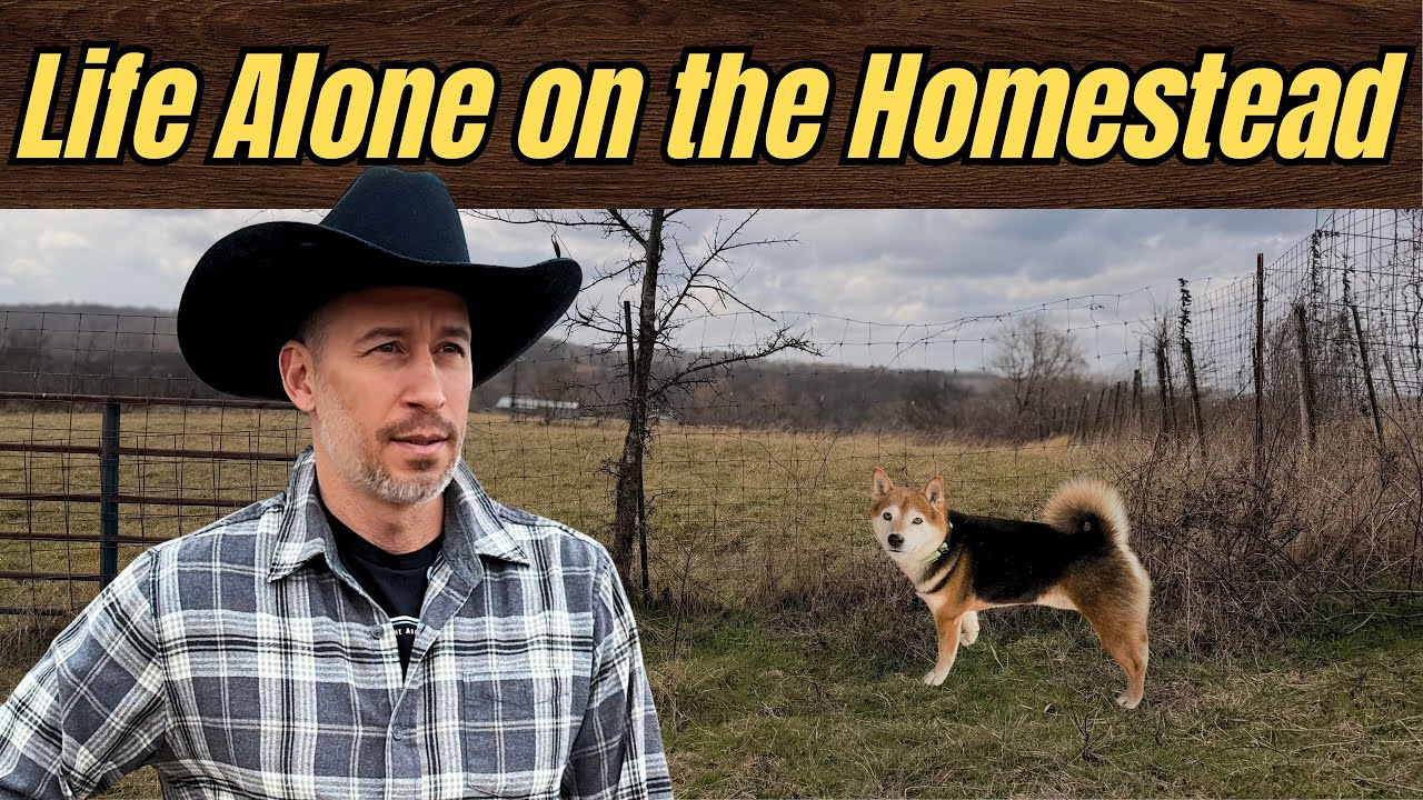 Побег собаки и жалобы на трактор | Просто еще одна неделя на ферме