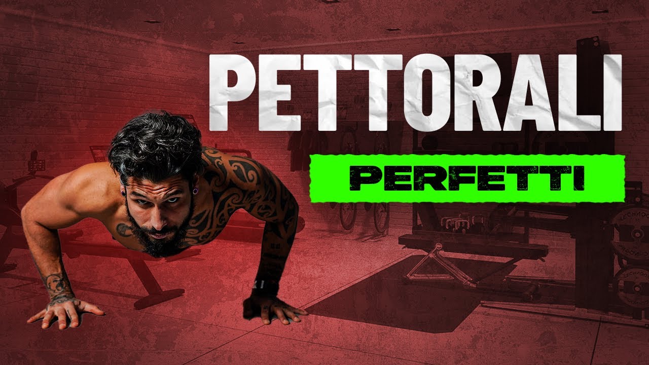 PETTORALI PERFETTI - scheda allenamento