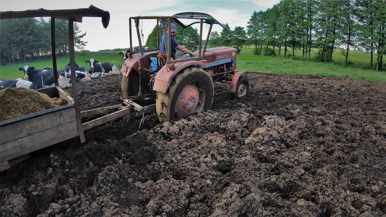 Dowóz TMR po Ulewnych opadach // International 423 in Mud Extreme 2020!!