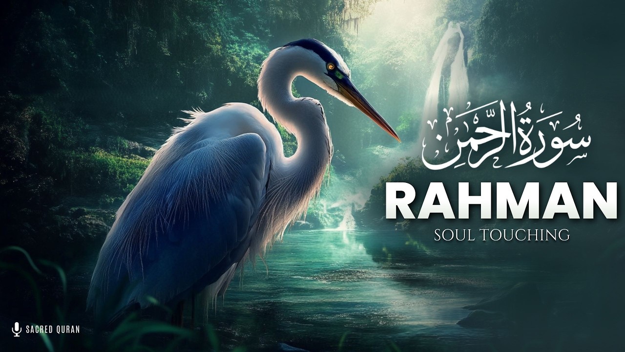 Quran For Sleep | Most Heart Touching Relaxing Recitation of Surah Ar-Rahman (سورة الرحمن) | #quran