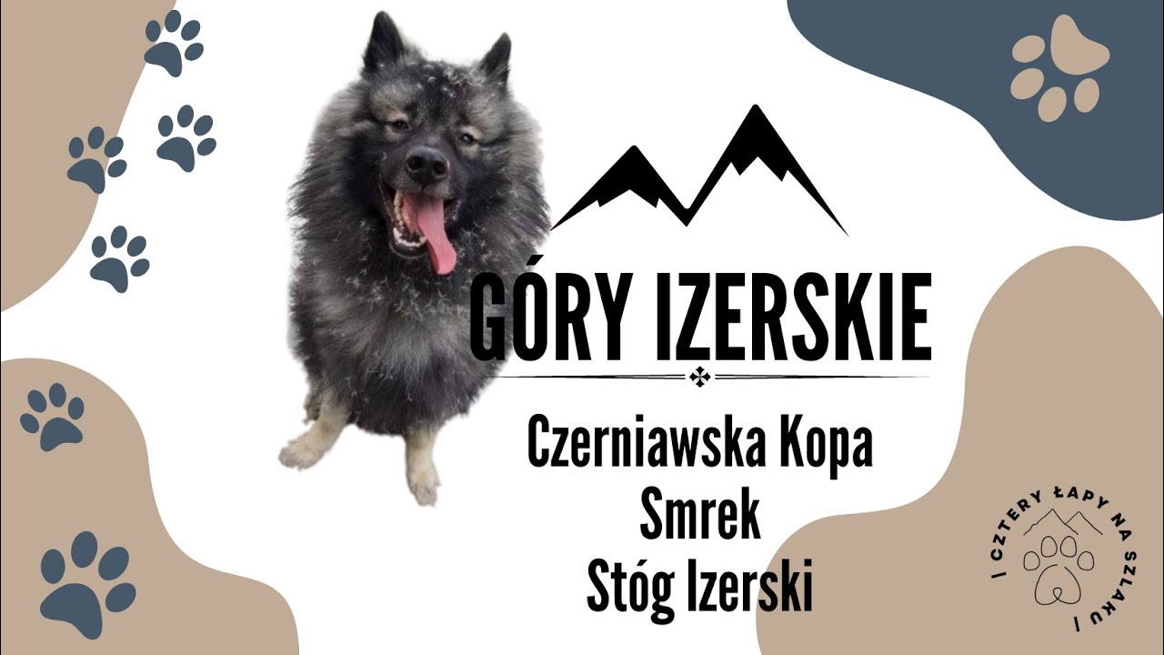 W góry z psem | Góry Izerskie | Czerniawska Kopa | Smrek | Stóg Izerski | Świeradów Zdrój