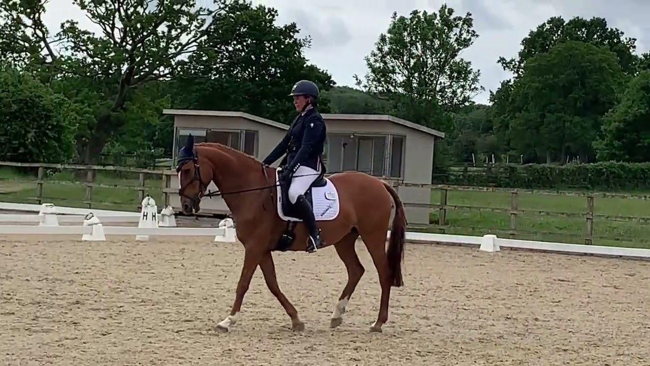 Sillan Clementine BD Elementary Test 5 Parwood Equestrian Centre 29.05.25