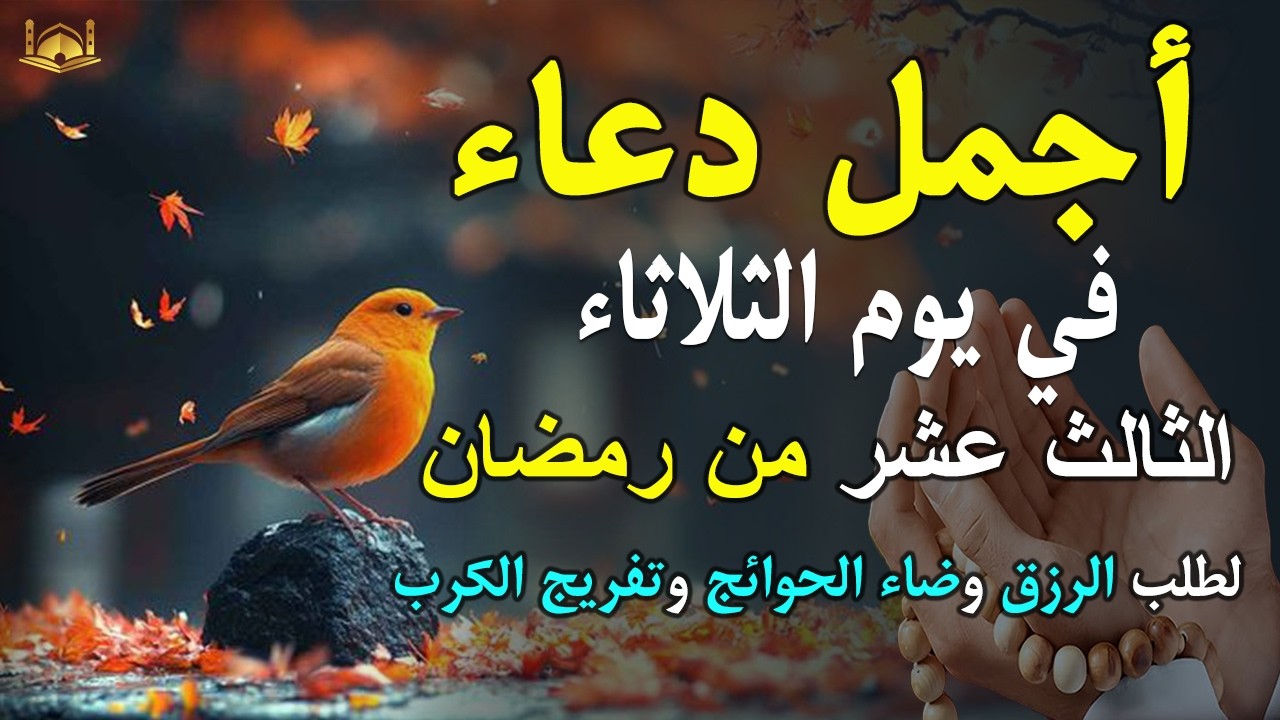 دعاء فى يوم الثلاثاء دعاء فى يوم 13 من شهر رمضان المبارك للرزق والشفاء العاجل وقضاء الحوائج 🤲4k