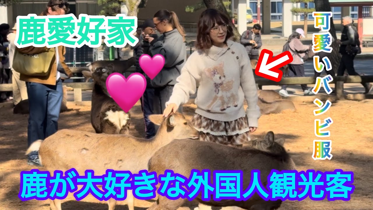 鹿愛好家💕鹿が好き過ぎてバンビ服で奈良公園に来ました🫎