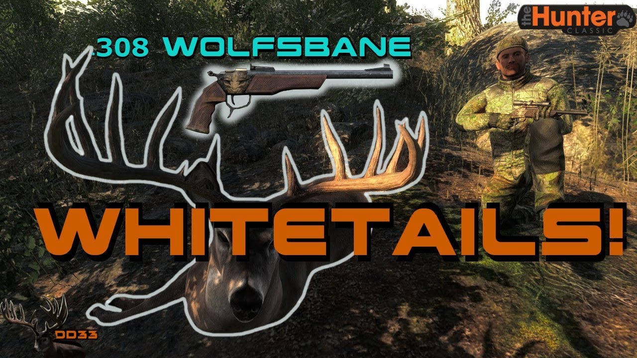 Bringing Back The MOST REALISTIC Hunting Game!! (Wall Hangers)  THEHUNTER 2018