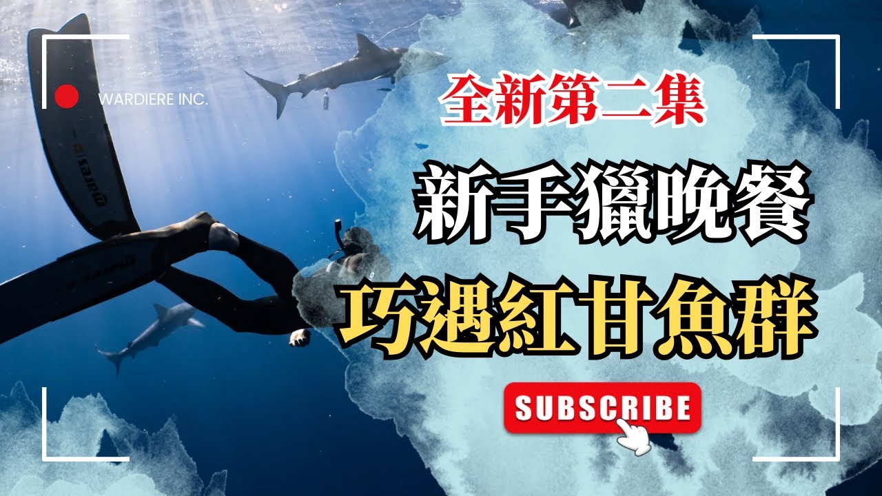 一箭雙鵰＋紅甘群出沒｜海底驚奇連發｜新手漁獵晚餐｜BOBO出任務 EP.2