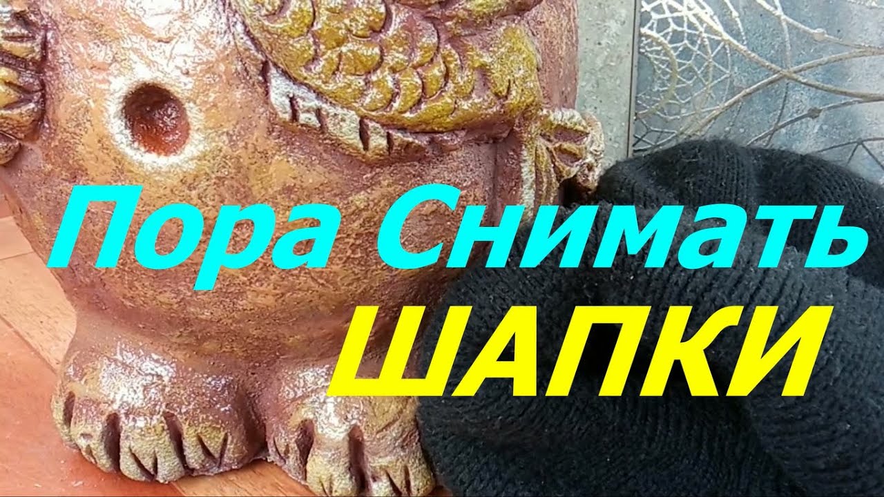 Ради Этого ИРОДА Пожертвовала Новой ШАПКОЙ