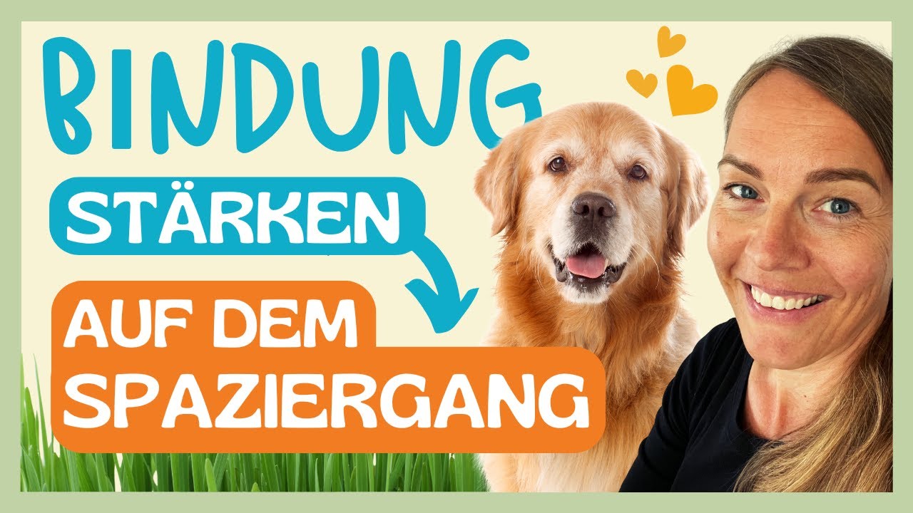 😍 MEHR BINDUNG? KEIN PROBLEM! DAS STÄRKT DIE BINDUNG ZUM HUND BEIM SPAZIERGANG 🔥