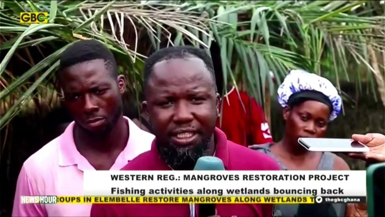 Mangroves restoration project(Western region): Fishing activities along wetlands bouncing back
