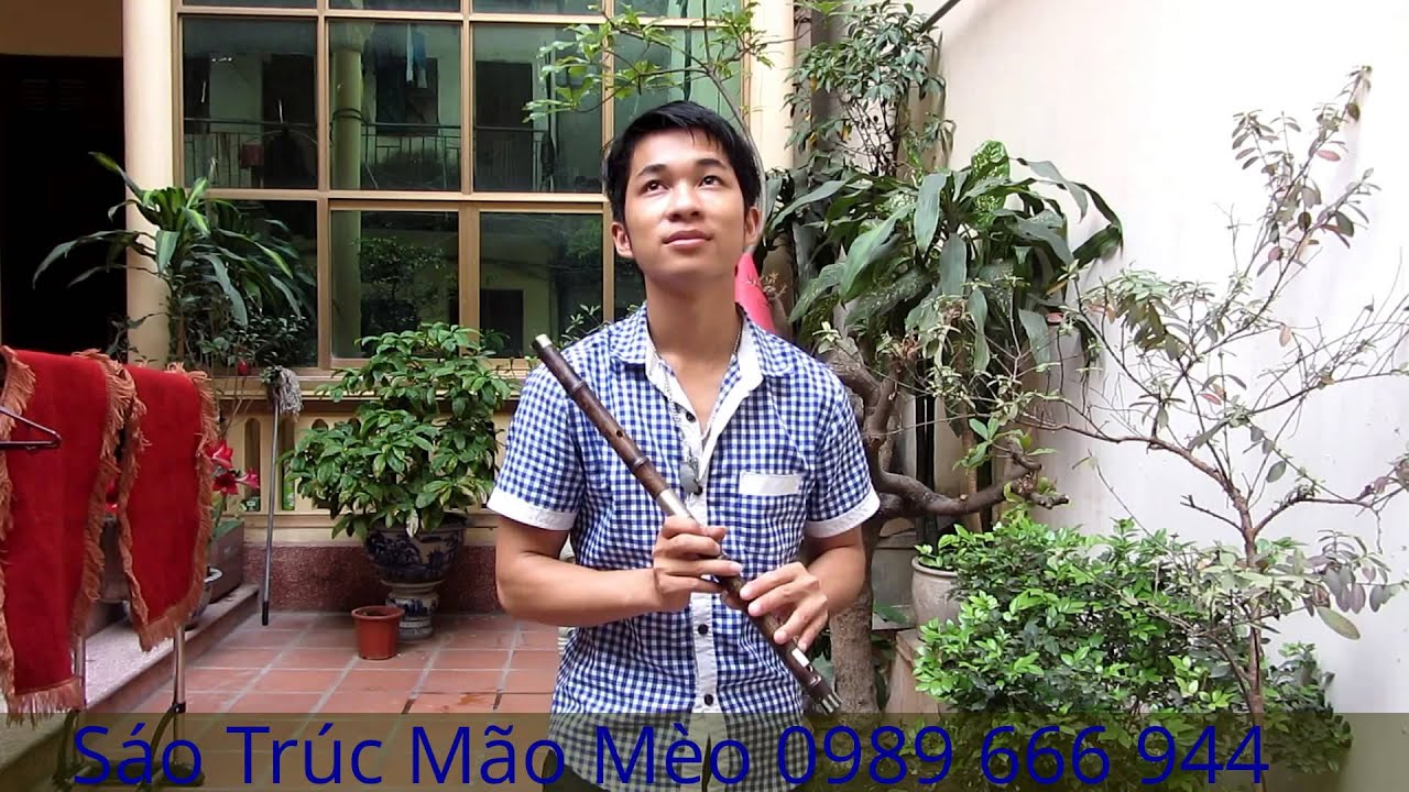 Giấc mơ trưa Sáo trúc Mão Mèo hay nhất