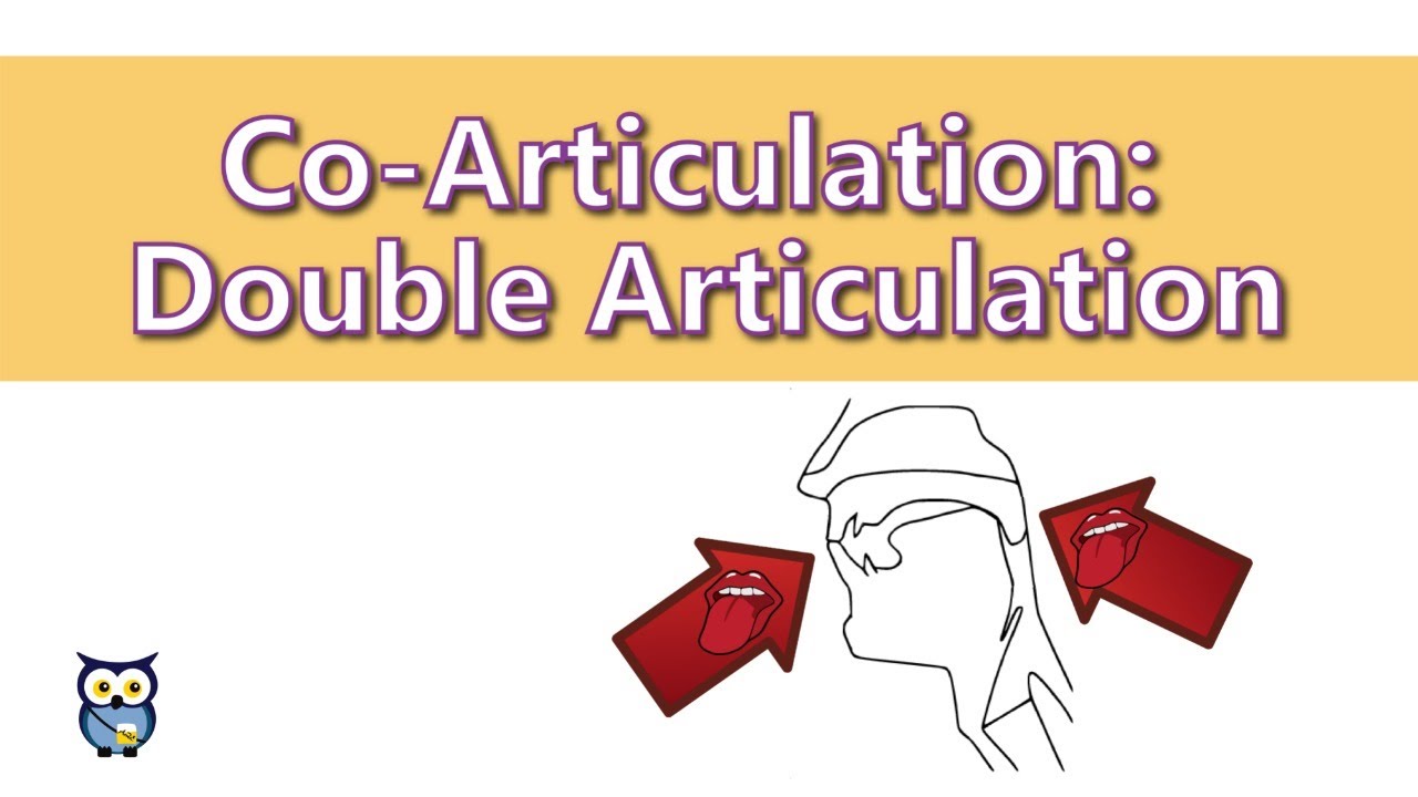 Co-Articulation: Double Articulation