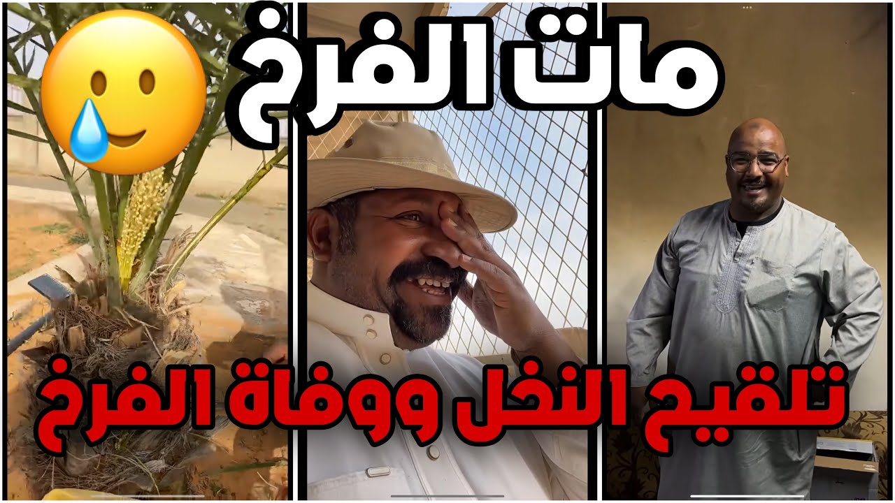يوميات رجل البرية | تلقيح النخل ووفاة الفرخ 🥲 #السعودية | 17 - 3 - 2024