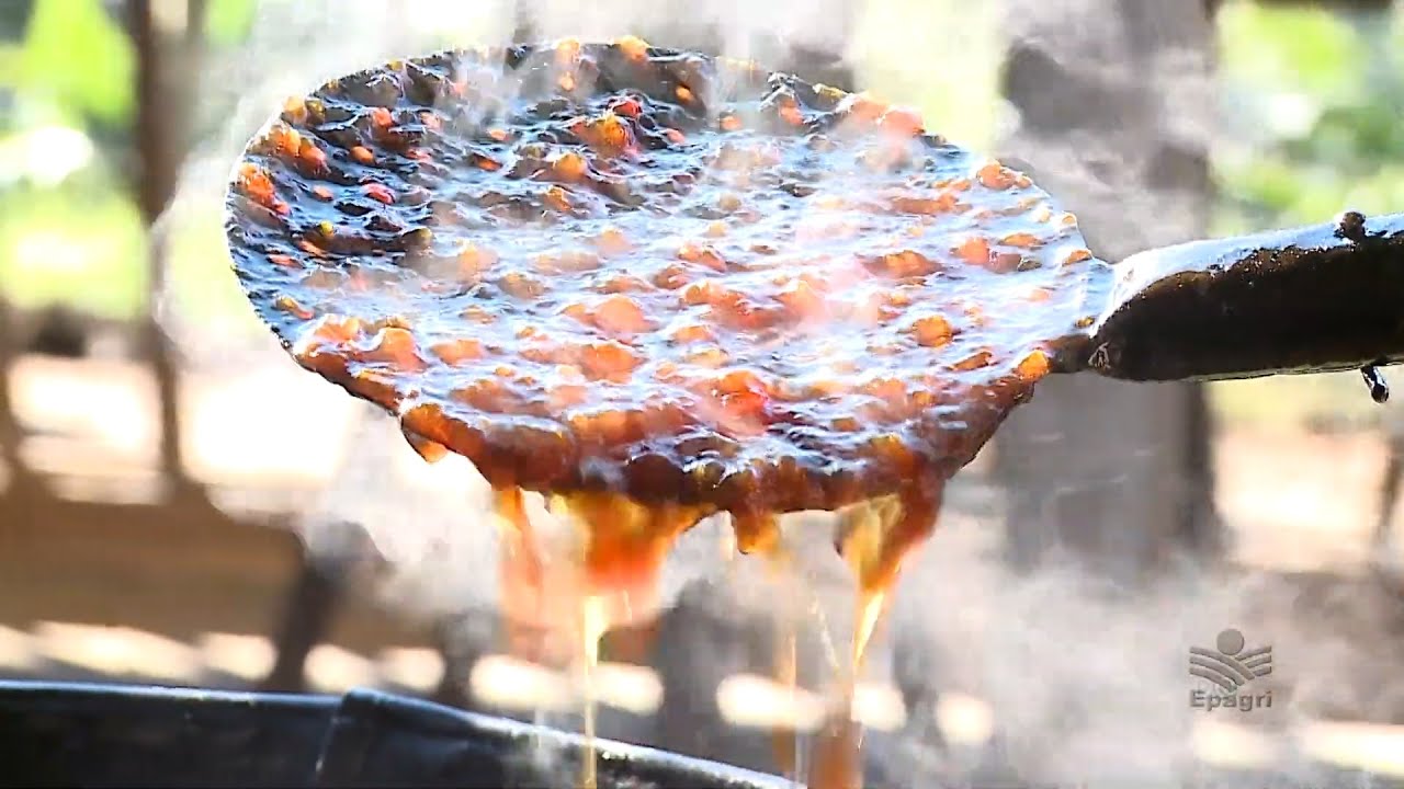 Comida como cultura: Peritiba (aprenda a fazer chimia)!
