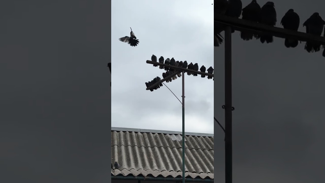 3 марта 2026 г.