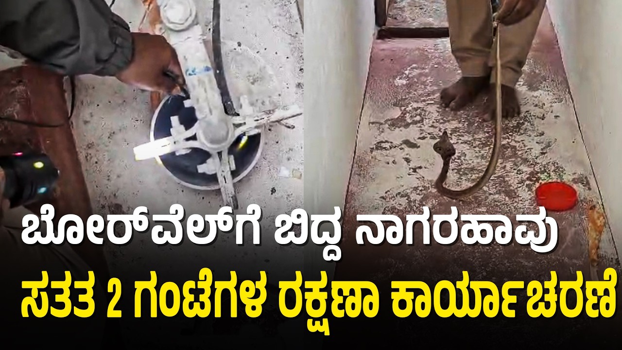 90 ಅಡಿ ಆಳದ ಬೋರ್‌ವೆಲ್‌ಗೆ ಬಿದ್ದ ನಾಗರಹಾವಿನ ರಕ್ಷಣಾ ಕಾರ್ಯಾಚರಣೆ | Mysore Snake Rescue | Suvarna News