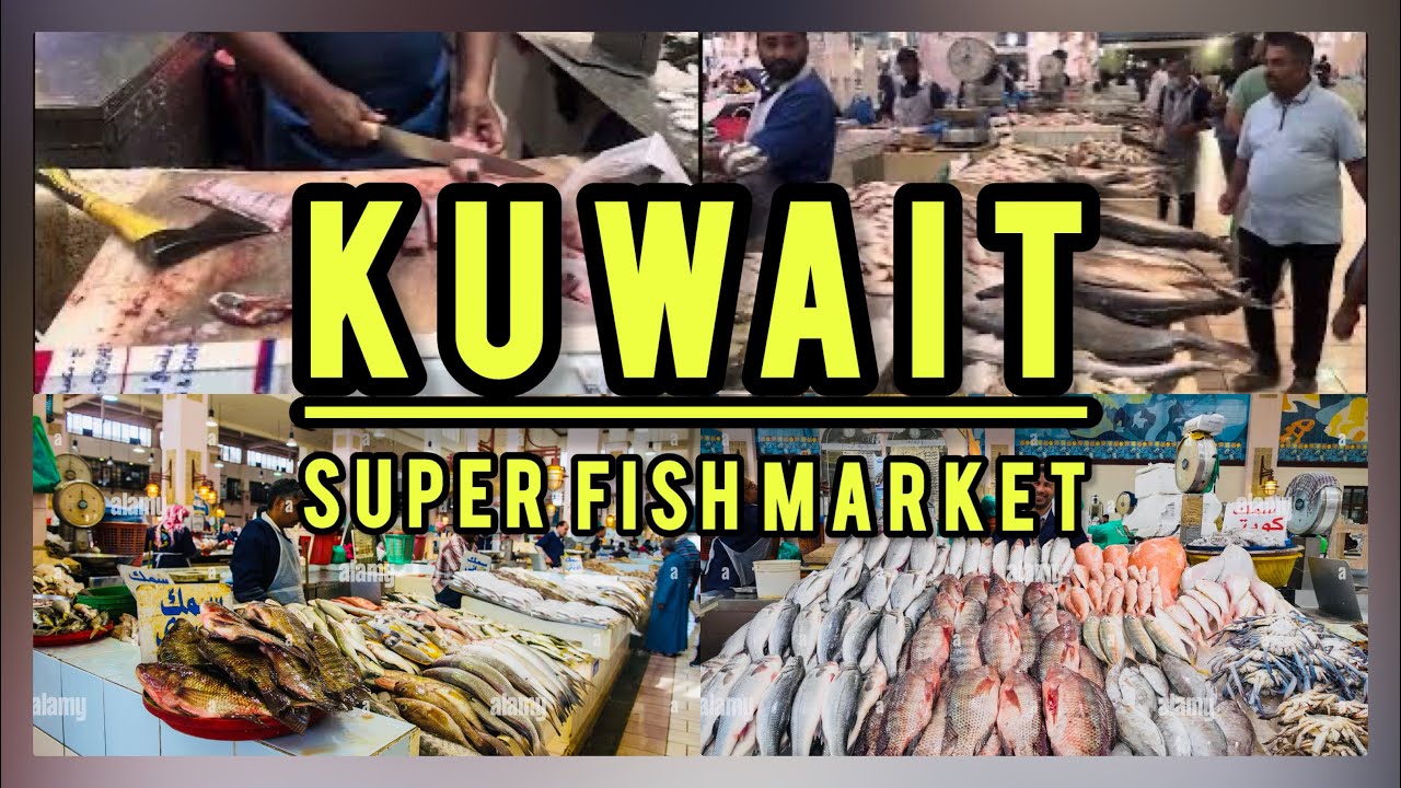 Fish Market In Kuwait | Fresh Fish In Kuwait | Souq Sharq Kuwait City
