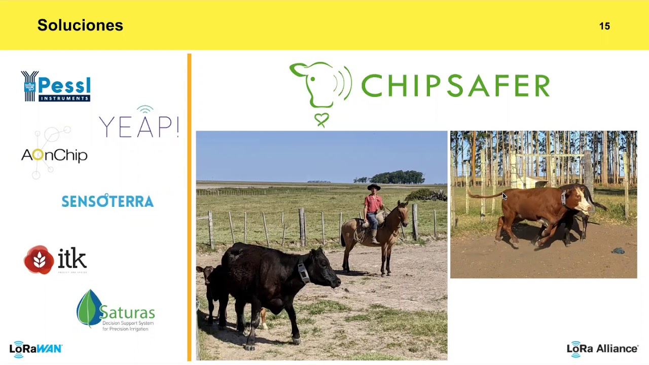 Soluciones LoRaWAN® para agricultura inteligente y el campo conectado en América Latina