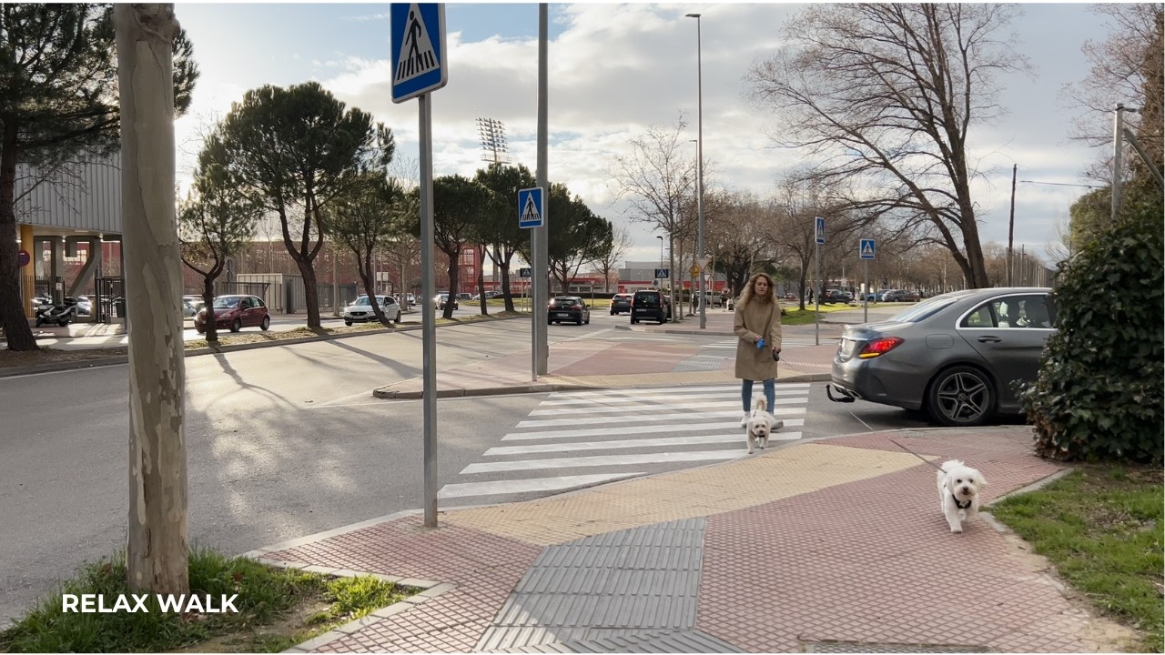 Afternoon Relaxing Walk. Espartales Norte. Alcalá