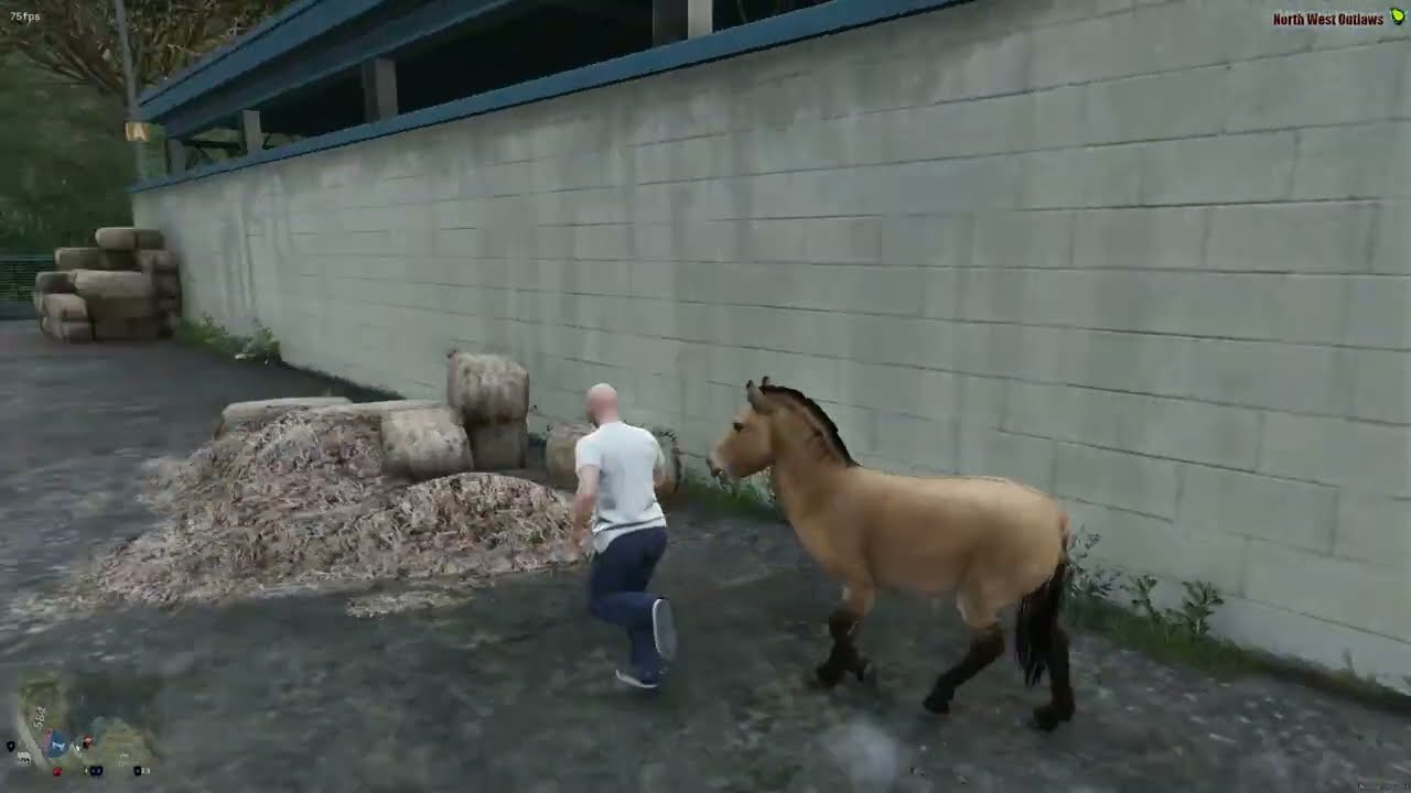 FiveM Future Horse System