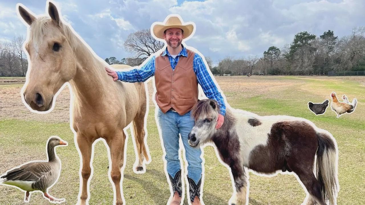 Acompaña a Cowboy Jack a conocer la granja y sus animales
