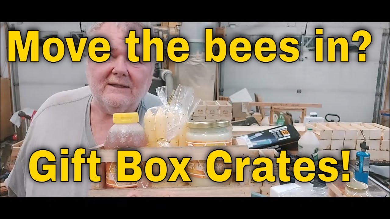 Пора ли заселять пчёл? Делаем подарочные ящики! — That Bee Man