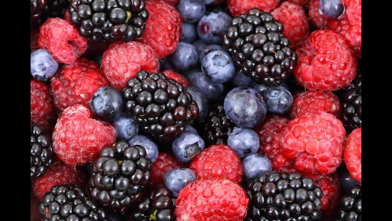 Berries and the Brain