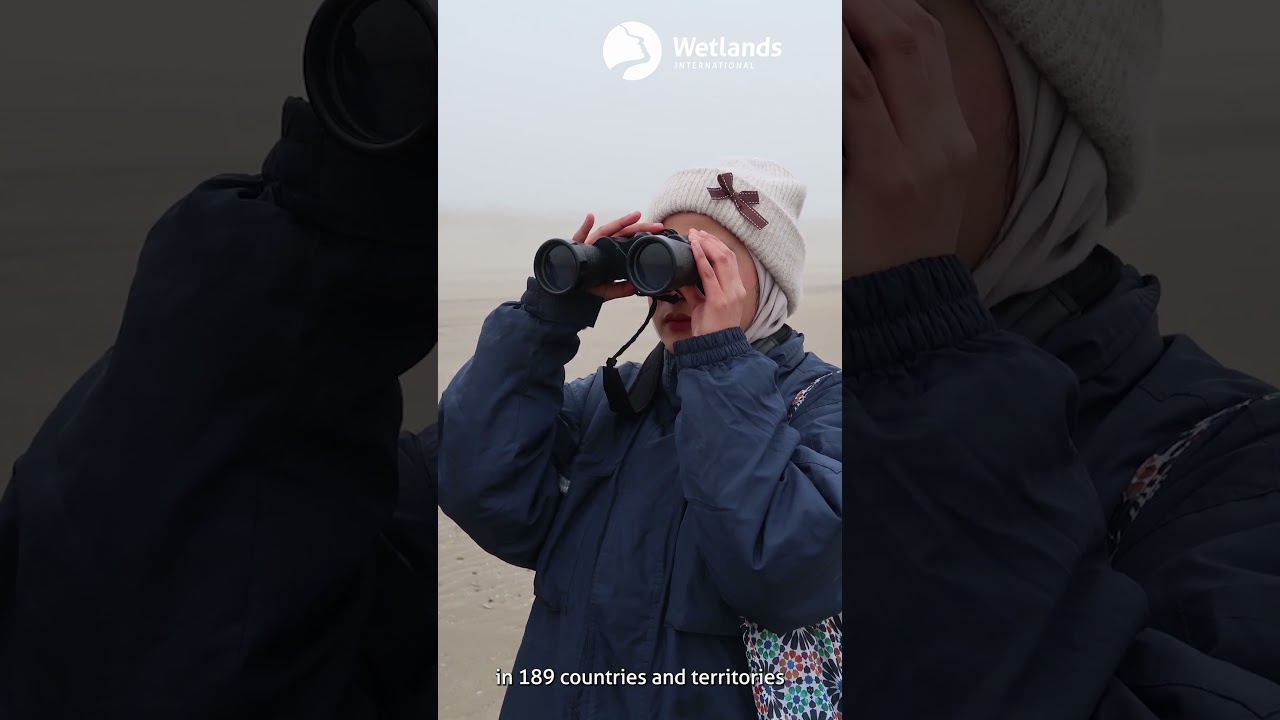 Crowdfunding to help count the world's waterbirds: you can only conserve what you count 