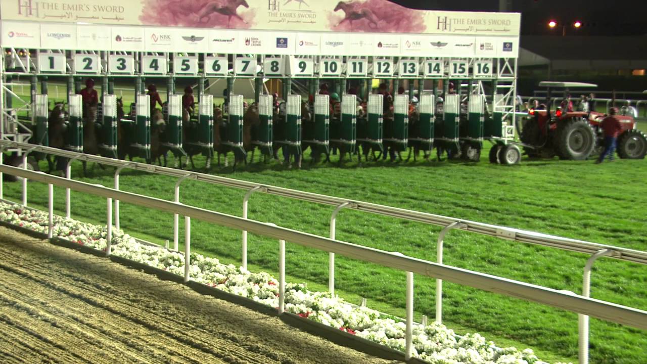 Horse Racing in Doha