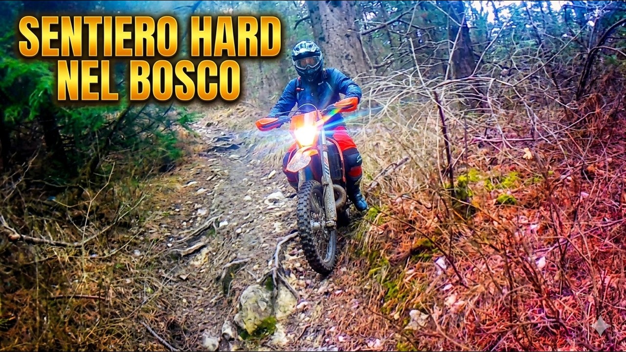 SENTIERO HARD NEL BOSCO ✊💨