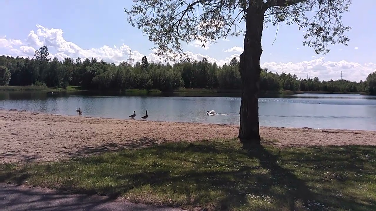 L&uuml;NEN