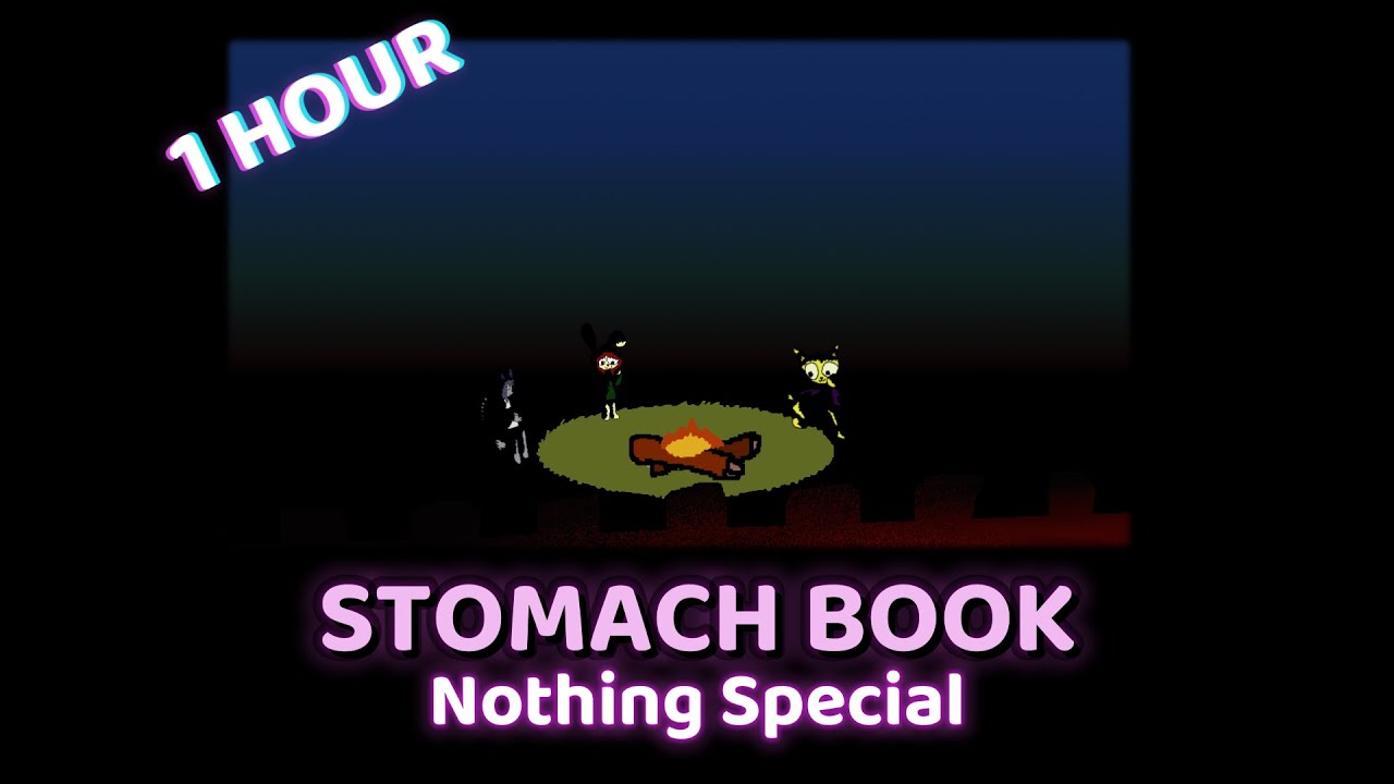 STOMACH BOOK - Nothing Special - 1 hour
