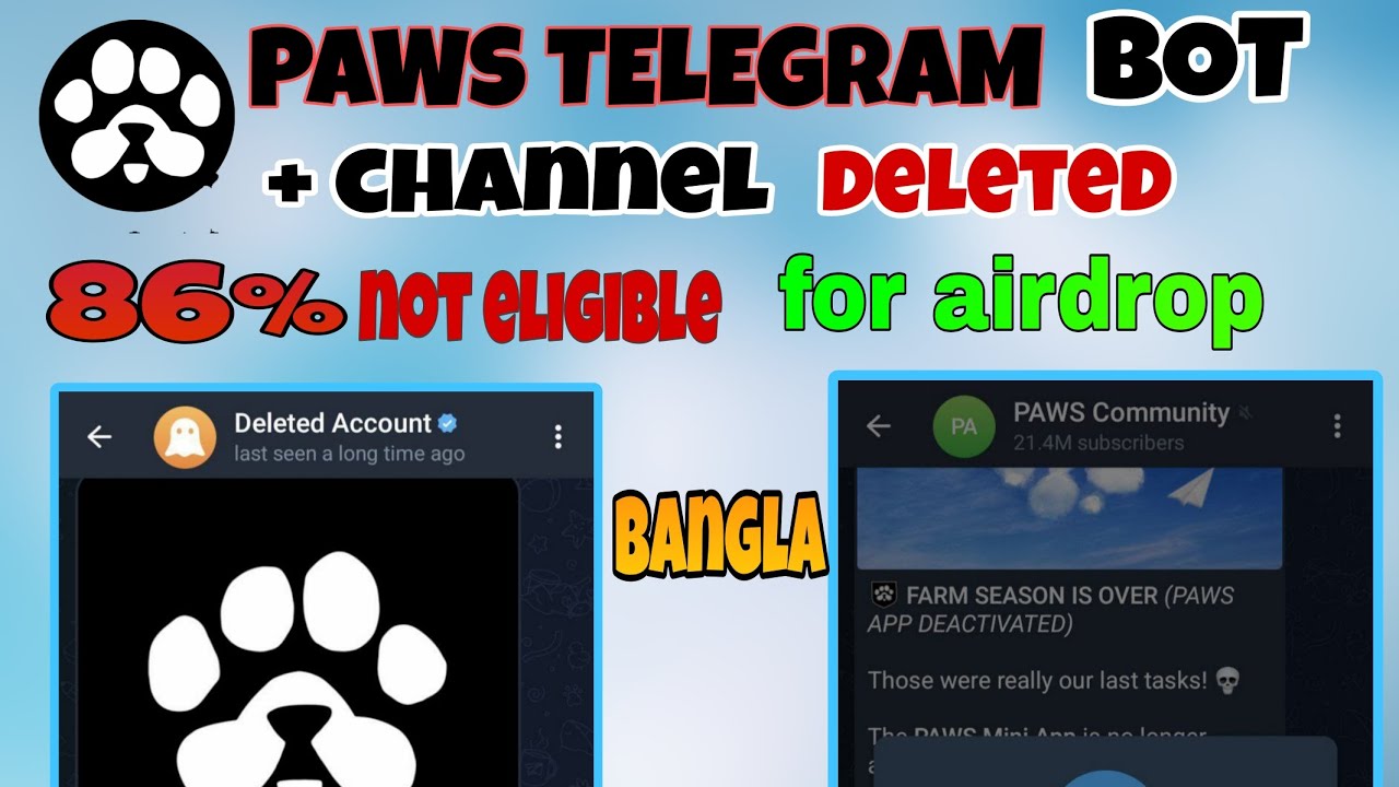 Paws Telegram bot | channel deleted